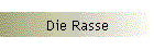 Die Rasse